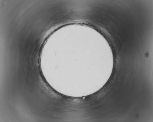X0000115481412200912181158