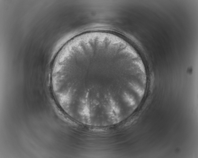 X0000115481413200912181158
