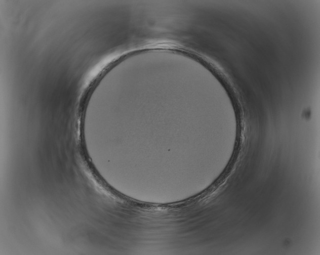 X0000115481414200912181158