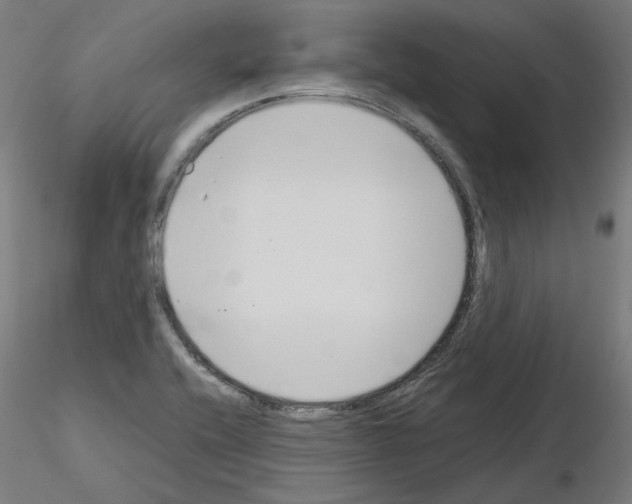 X0000115481416200912181158