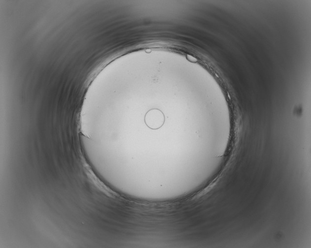 X0000115481417200912181158
