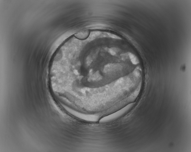 X0000115481418200912181158
