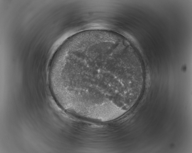 X0000115481419200912181158