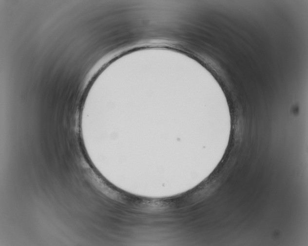 X0000115481420200912181158
