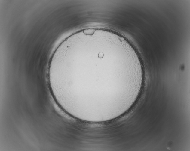 X0000115481421200912181158