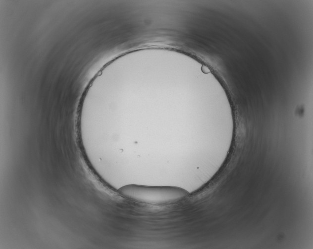X0000115481423200912181158