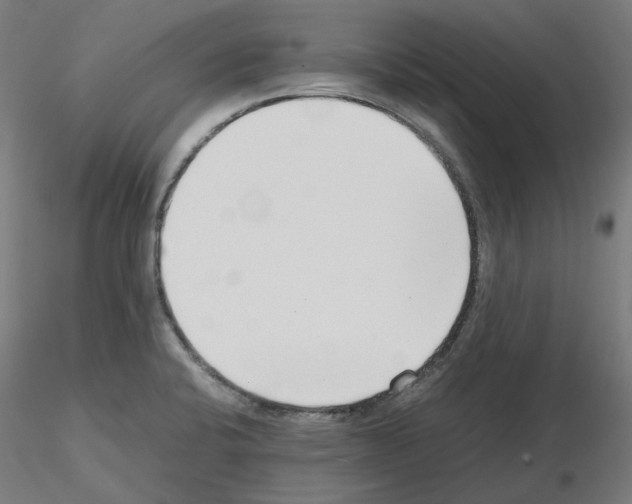 X0000115481424200912181159