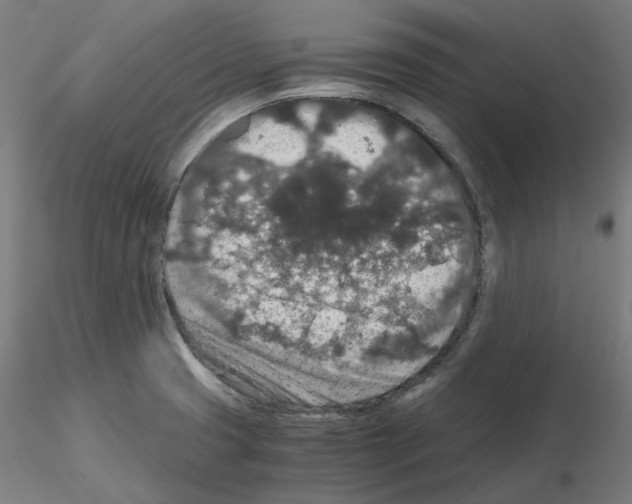 X0000115481425200912181159