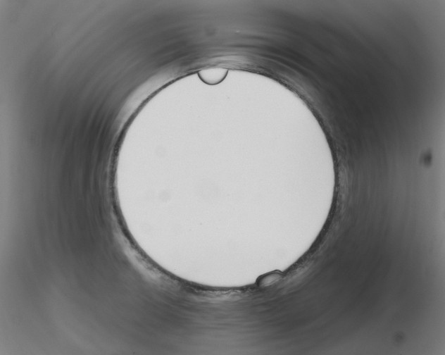 X0000115481426200912181159