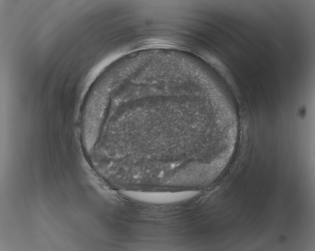 X0000115481427200912181159