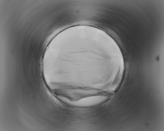 X0000115481428200912181159