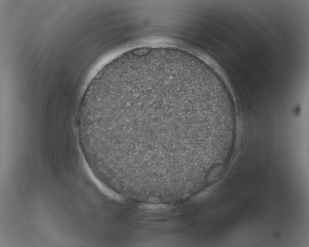 X0000115481429200912181159