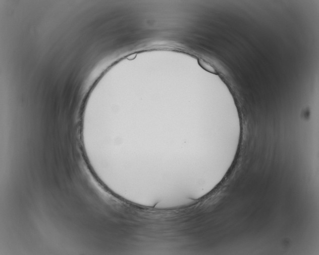 X0000115481430200912181159