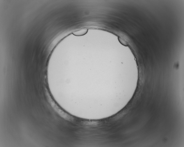 X0000115481431200912181159