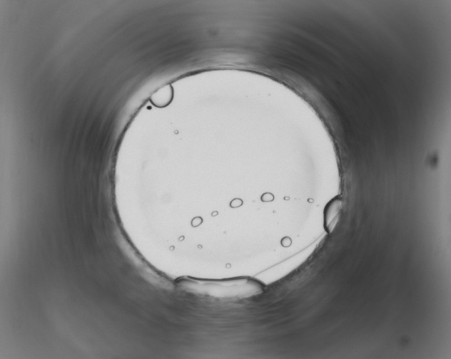 X0000115481432200912181159