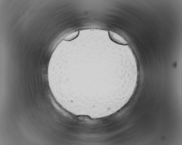 X0000115481433200912181159