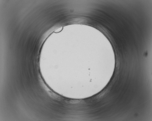 X0000115481434200912181159