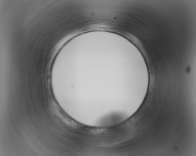 X0000115481435200912181159