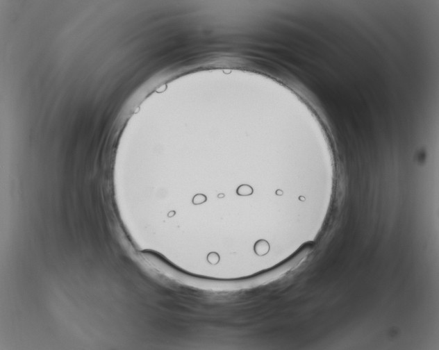 X0000115481437200912181159