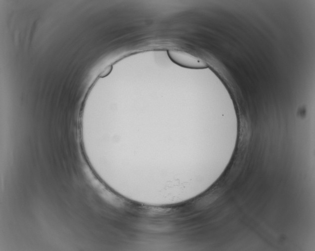 X0000115481439200912181159