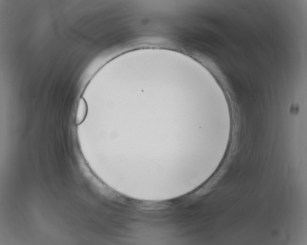 X0000115481440200912181159