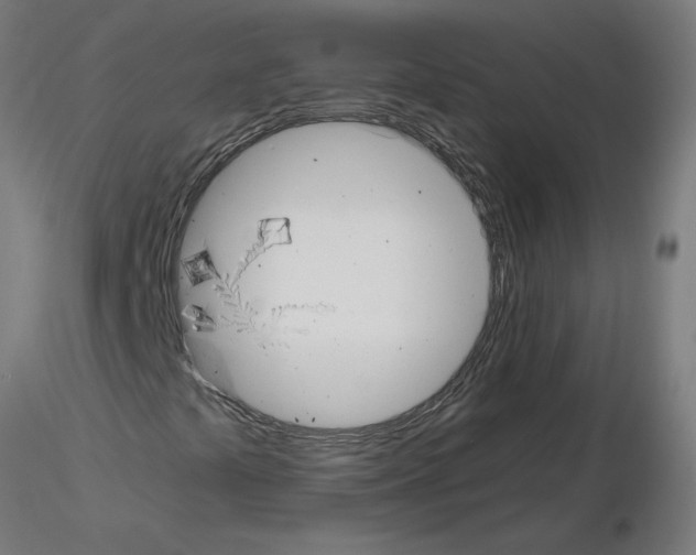 X0000115481441200912181158