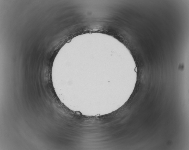 X0000115481442200912181158