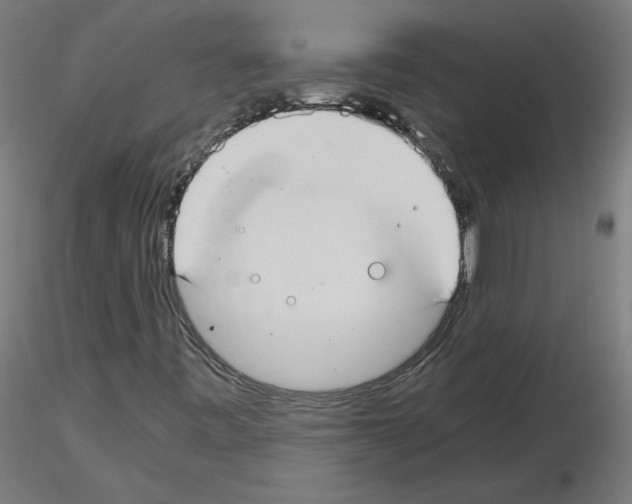 X0000115481443200912181158