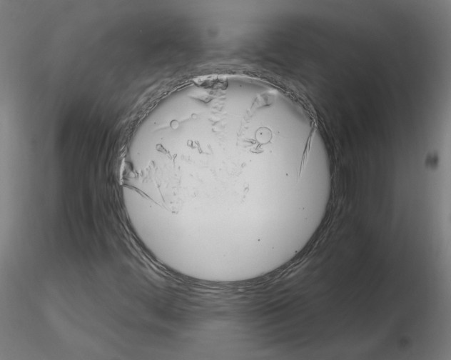 X0000115481444200912181158