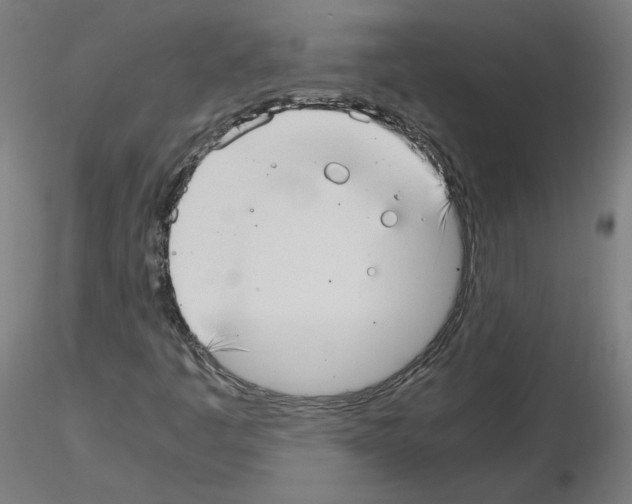 X0000115481445200912181158