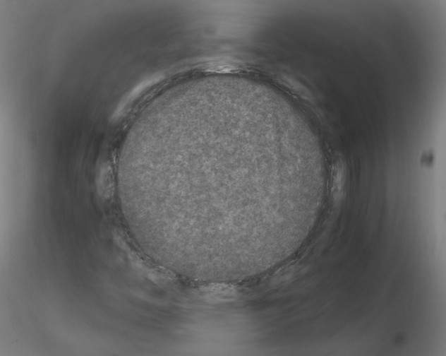 X0000115481446200912181158