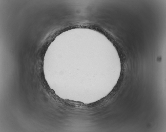 X0000115481447200912181158