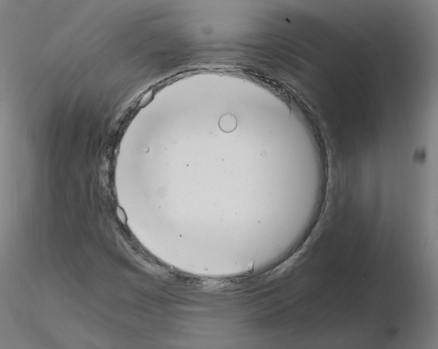 X0000115481449200912181158