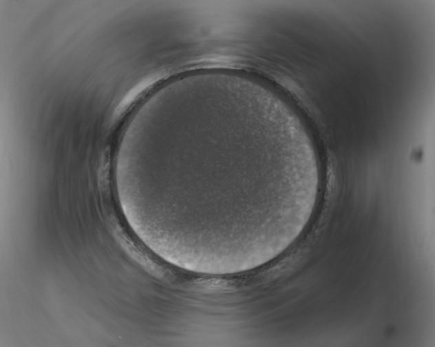 X0000115481450200912181158