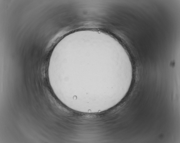 X0000115481451200912181158