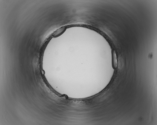 X0000115481452200912181158