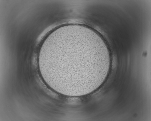 X0000115481454200912181158