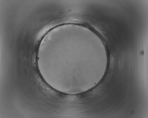 X0000115481455200912181158