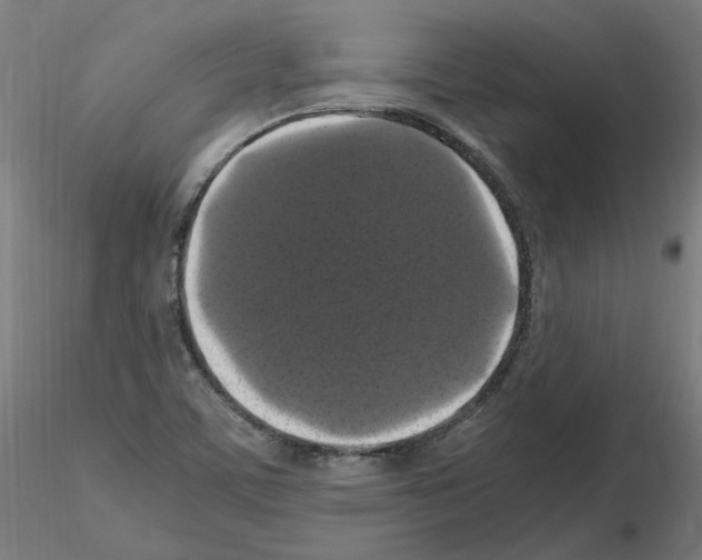 X0000115481459200912181158