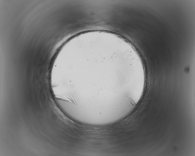 X0000115481460200912181158
