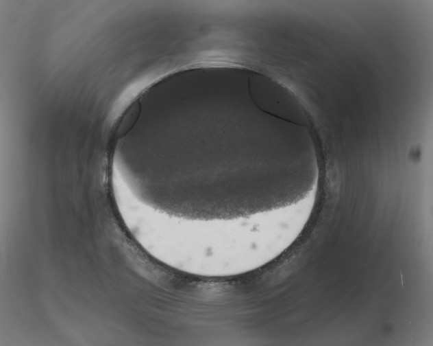 X0000115481461200912181158