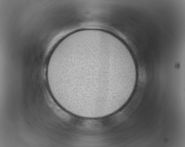 X0000115481462200912181158