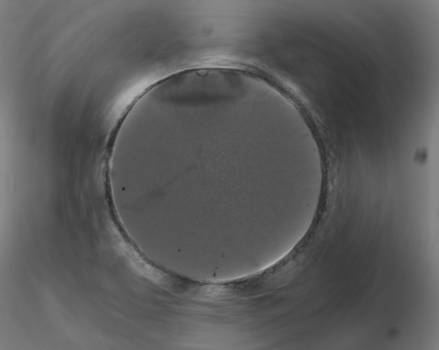 X0000115481463200912181158