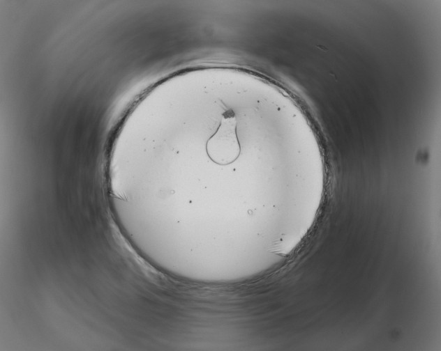 X0000115481464200912181158