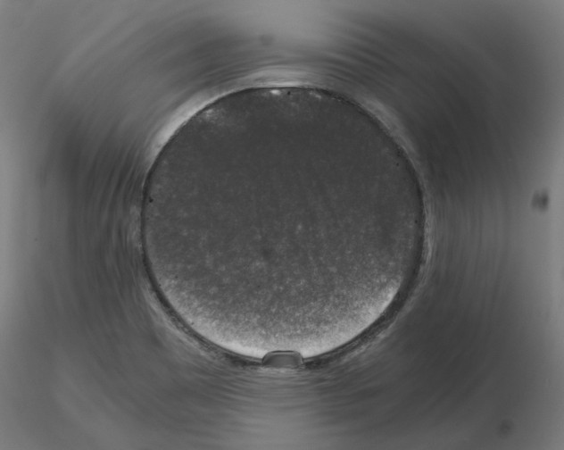 X0000115481465200912181158