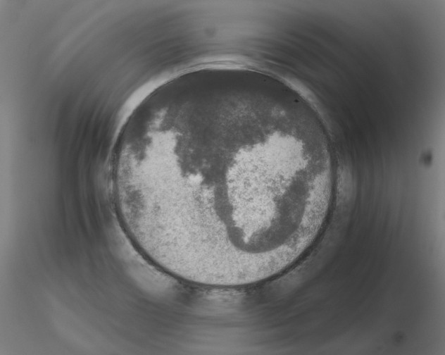 X0000115481466200912181158