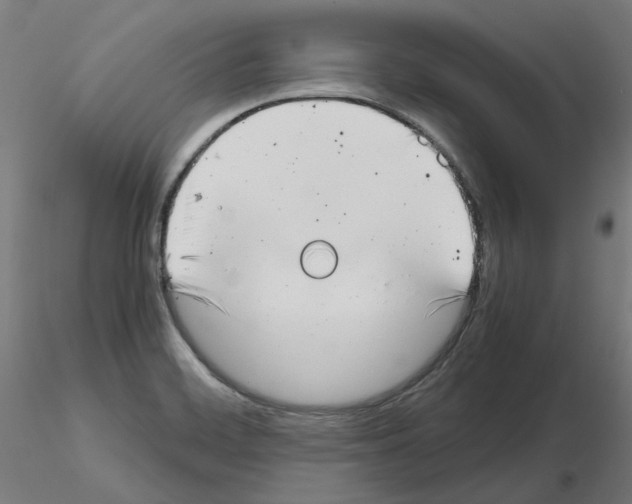X0000115481468200912181158