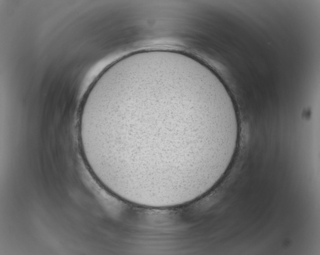X0000115481470200912181157
