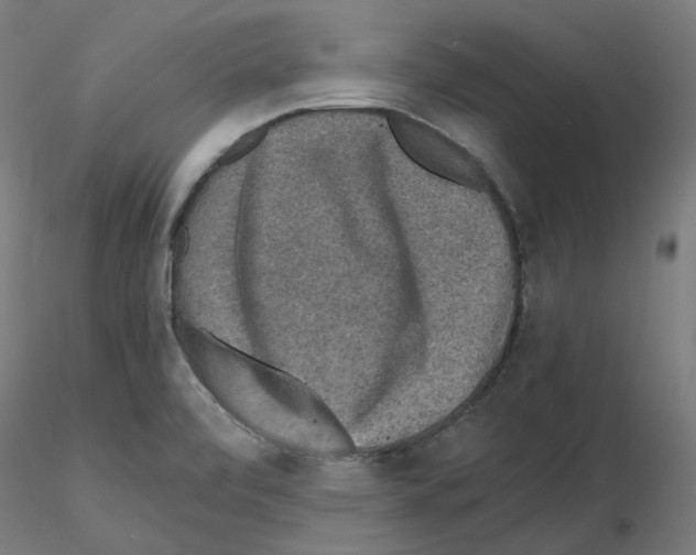 X0000115481472200912181157