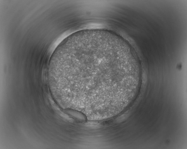 X0000115481473200912181157